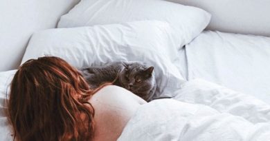 ¿Es bueno dormir con gatos en la cama por la nochhe